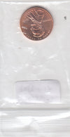 S22-QEE-0013-M45 United States 1 Cent UNC 2009 KM443 D Professiional